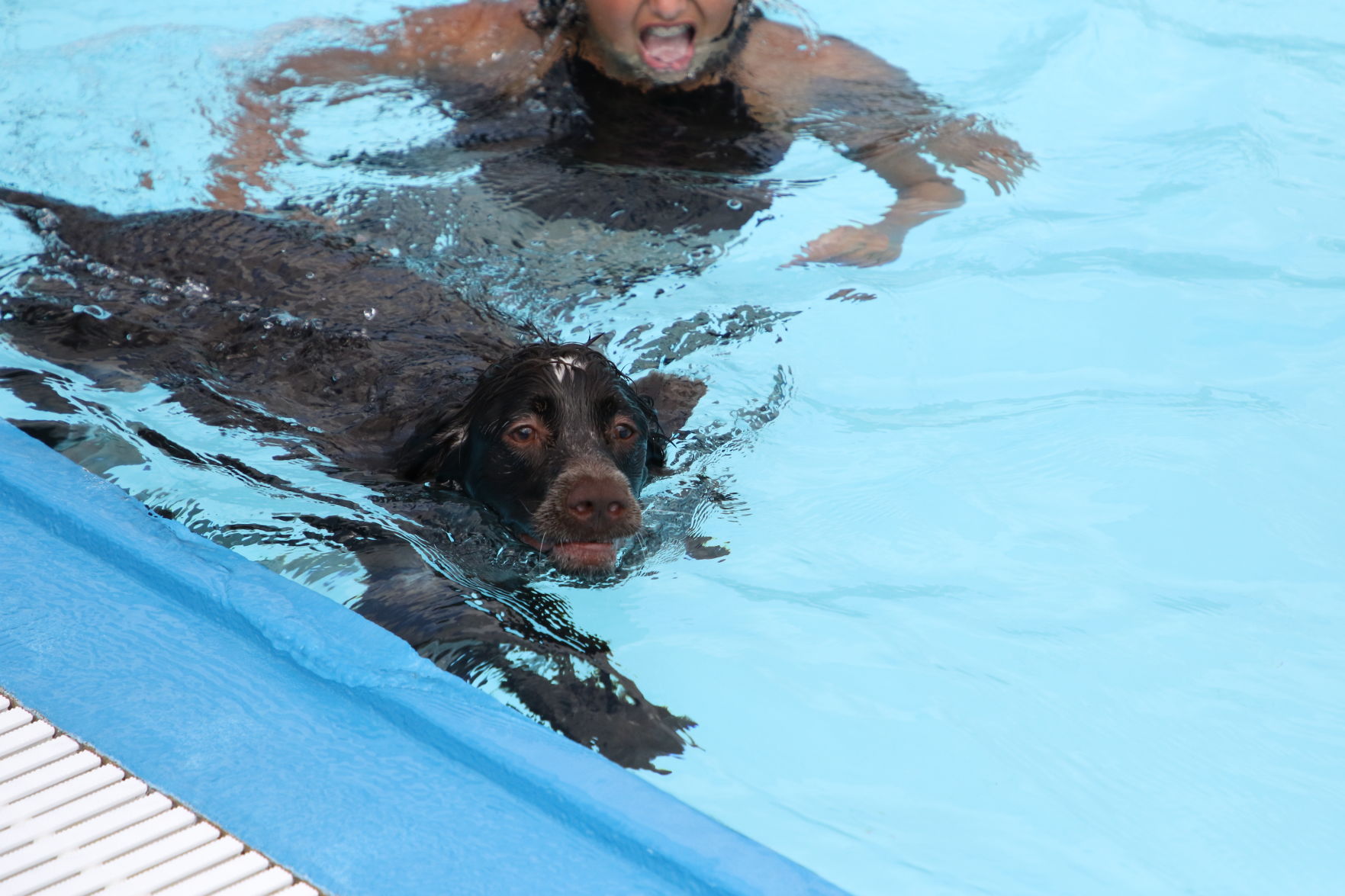 Dogs at the pool (41).JPG